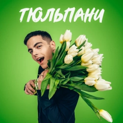 Обкладинка: Тюльпани