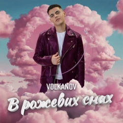 Обкладинка: В рожевих снах