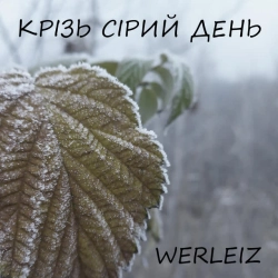 Обкладинка: Крізь сірий день
