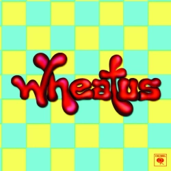 Обкладинка: Teenage Dirtbag