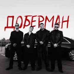 Обкладинка: Доберман