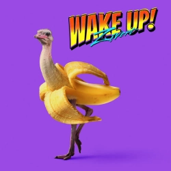 Обкладинка: WAKE UP!