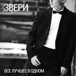 Фото виконавця Zveri